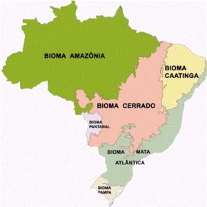 biomas_brasileiros